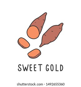 Sweet golden yam kind of potato. Vector illustration isolated on white background. Hand drawn clipart of batat for organic farming market. Drawing simple flat design clipart handdrawn element.