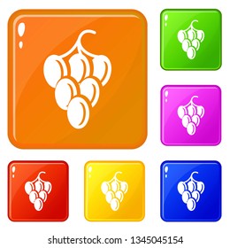 Sweet grape icons set collection vector 6 color isolated on white background