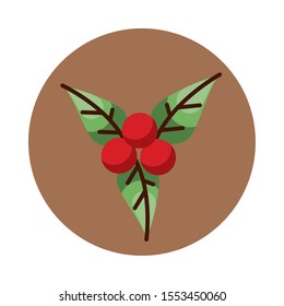 sweet grapes fruits and leafs nature icon vector illustration design