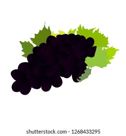 sweet grapes for vine