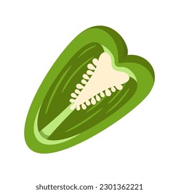 Sweet green bell pepper isolated on white background. Bell pepper in Cartoon style. Vector illustration