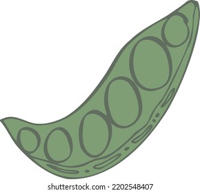 sweet green pea vegetable vector isolated hand drawn illustration