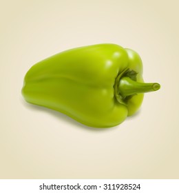 Sweet green pepper on gray background