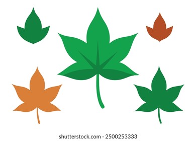 Sweet Gum Leaf Color Art Nature Inspired Artwork of Classic Sweet Gum Leaves