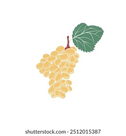 Dulce uva de dibujo a mano con hojas verdes, aislado sobre fondo blanco. Create Anuncio, tarjeta, patrón, tela, icono. Ilustración vectorial 