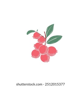 Sweet  hand drawing red berry with green leaves, isolated on white background. Create banner, card, pattern, fabric, icon. Vector illustration 