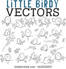 Sweet hand drawn birds with leaves, flowers, and branches
