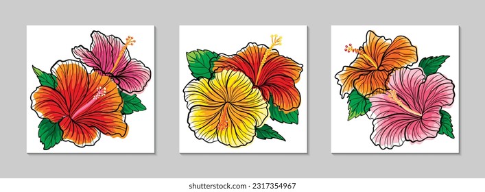 Sweet Hibiscus flowers set. Vector collection. Hibiscus rosa-sinensis.