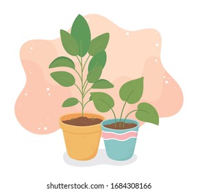 sweet home potted plants decoration interior vector illustration