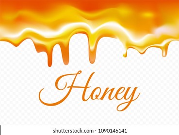 Sweet honey isolated on transparent background. Dropping honey syrup for desserts or cafeteria and patisserie cakes and cookies. Vector illustration.