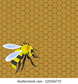 Sweet honeycomb and wasp stinging