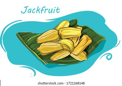 Sweet Jackfruit On White Background Illustration Vector