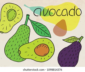 Sweet juicy avocado. Summer exotic food. Beautiful hand drawn illustration of fruits.