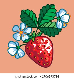 Sweet, juicy and delicious strawberry