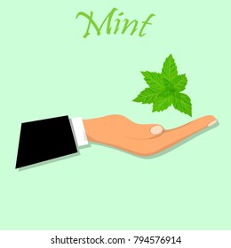 Sweet juicy mint symbol for jam and juice product label or grocery store, shop and farm market design. mint jam, sauce or juice label