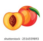 Sweet and juicy peaches in cartoon style. Vector illustration of fresh and tasty peaches with green leaves: whole, halves isolated on white background. Useful fruits. A healthy snack. Dessert.