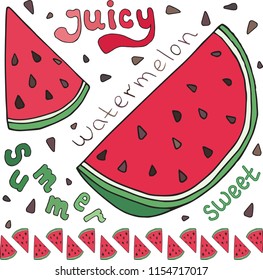 Sweet juicy Watermelon. Summer exotic food. Beautiful hand drawn illustration of fruits