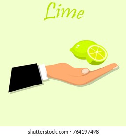 Sweet juicy whole and slice lemon or lime fruit symbol for jam and juice product label or grocery store, shop and farm market design. lime or mojito jam, sauce or juice label