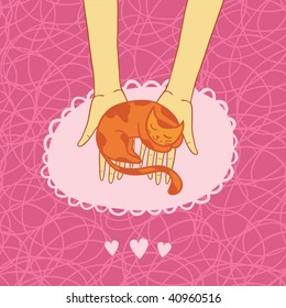 Sweet kitten in the hands