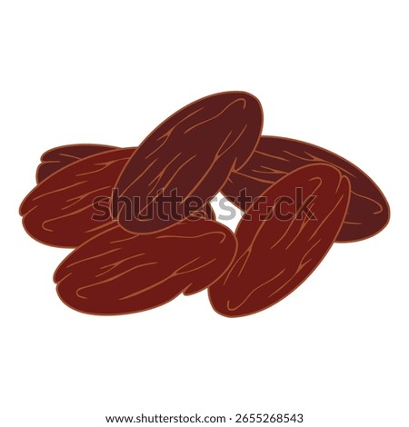 sweet legit date fruit vector illustration