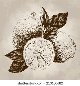 sweet lemon hand drawn in retro engraving style (old design) - vector illustration