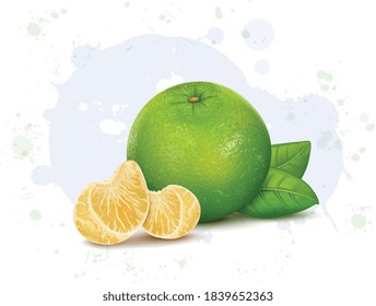 sweet lemon vector illustration with lemon slices 