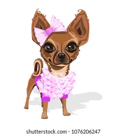sweet little dog in pink clothes. Cute vector illustration.
