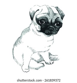 Sweet little pug, small faithful dog missing his master, vector design