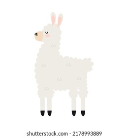 sweet llama image over white