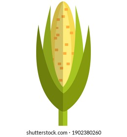 Sweet maize icon, flat vector illustration isolated on white background. Ear of corn or corncob. Farm fresh vegetable. Healthy food.