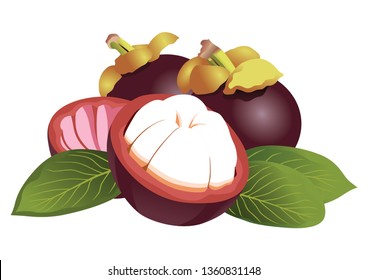 Sweet manggis fruit