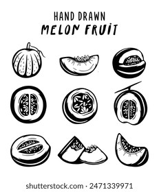 Sweet Melon Fruit hand drawn  concept on white background