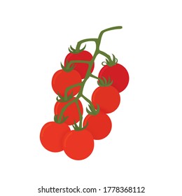 Sweet Millions Tomato Vine Plant Isolation Vector Fondo de Ilustración