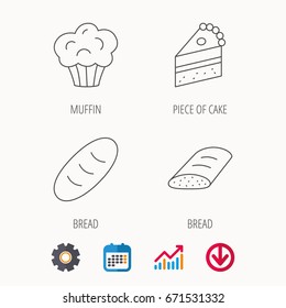 Sweet muffin, cake and bread icons. Piece of cake linear sign. Calendar, Graph chart and Cogwheel signs. Download colored web icon. Vector