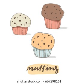 Sweet muffin and cupcake