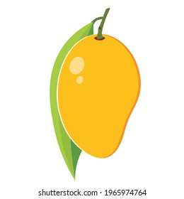 sweet natural fresh mango vector illustration 