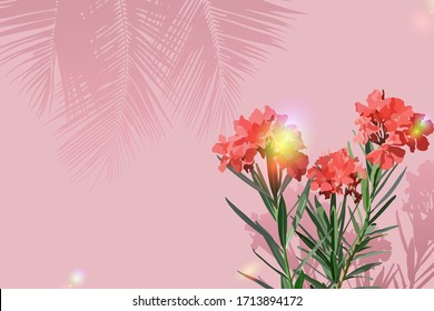 Sweet olender flowers on pastel pink wall and shadow of coconut leaves, with rainbow light effects, sunday sunny summer feelings illustration background design