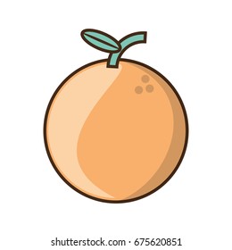 Sweet orange fruit