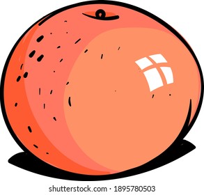 Naranja dulce, ilustración, vector sobre fondo blanco.