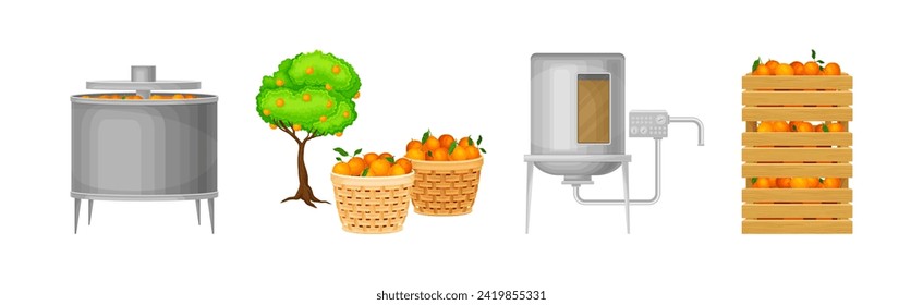 Sweet Orange Juice Production Stages Vector Illustration Set