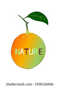 Sweet orange sign. Nature icon. Ecologic and healthy orange placard. Colored orange fruit sticker and signboard.