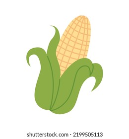 Sweet organic corncob. Ripe vegetable. Vector illustration isolated on white background.