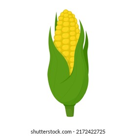 Sweet organic corncob. Vegetable organic food. Vector illustration.