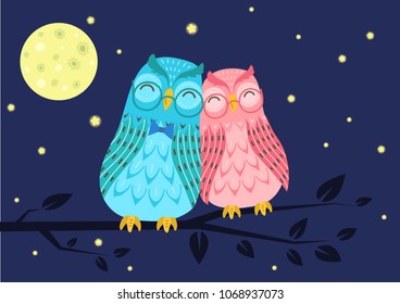 Sweet owls couple on tree branch under in the night starry sky. Cute vector illustration.