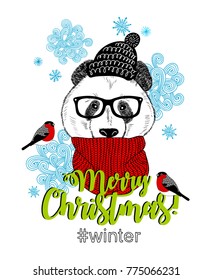 Sweet panda in scarf and hat. Vector card for Christmas.