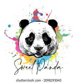 Sweet Panda slogan graphic vector print lettering for t shirt print design