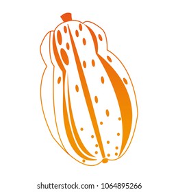 Sweet papaya fruit