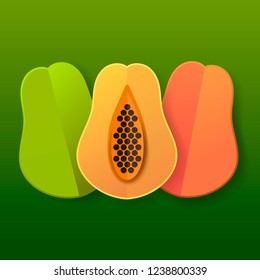 sweet papaya  tropical exotic fruit orange green with seeds icon vector.