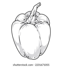 Sweet paprika monochrome vintage element farm ripe bell pepper from fair of organic products with vitamins and nutrients vector illustration