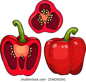 Paprika-Paprika-Pfeffer, Ganze und halbierte Glockenpfeffer , handgezeichnete Vektorgrafik.